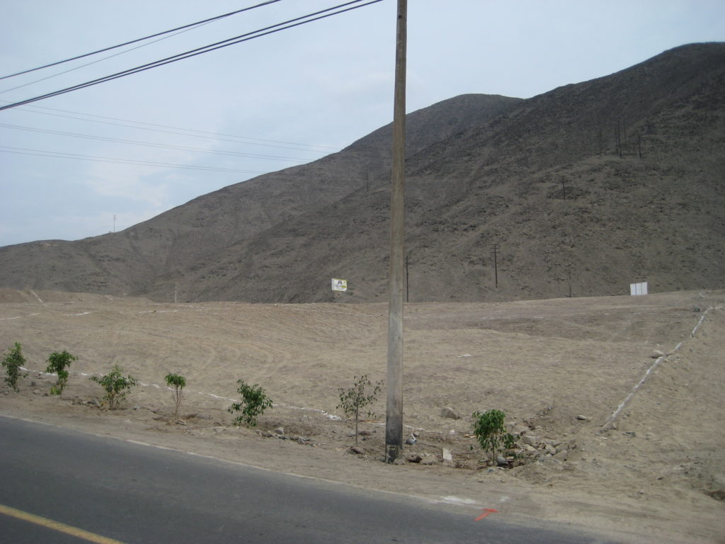 Desert of Peru
